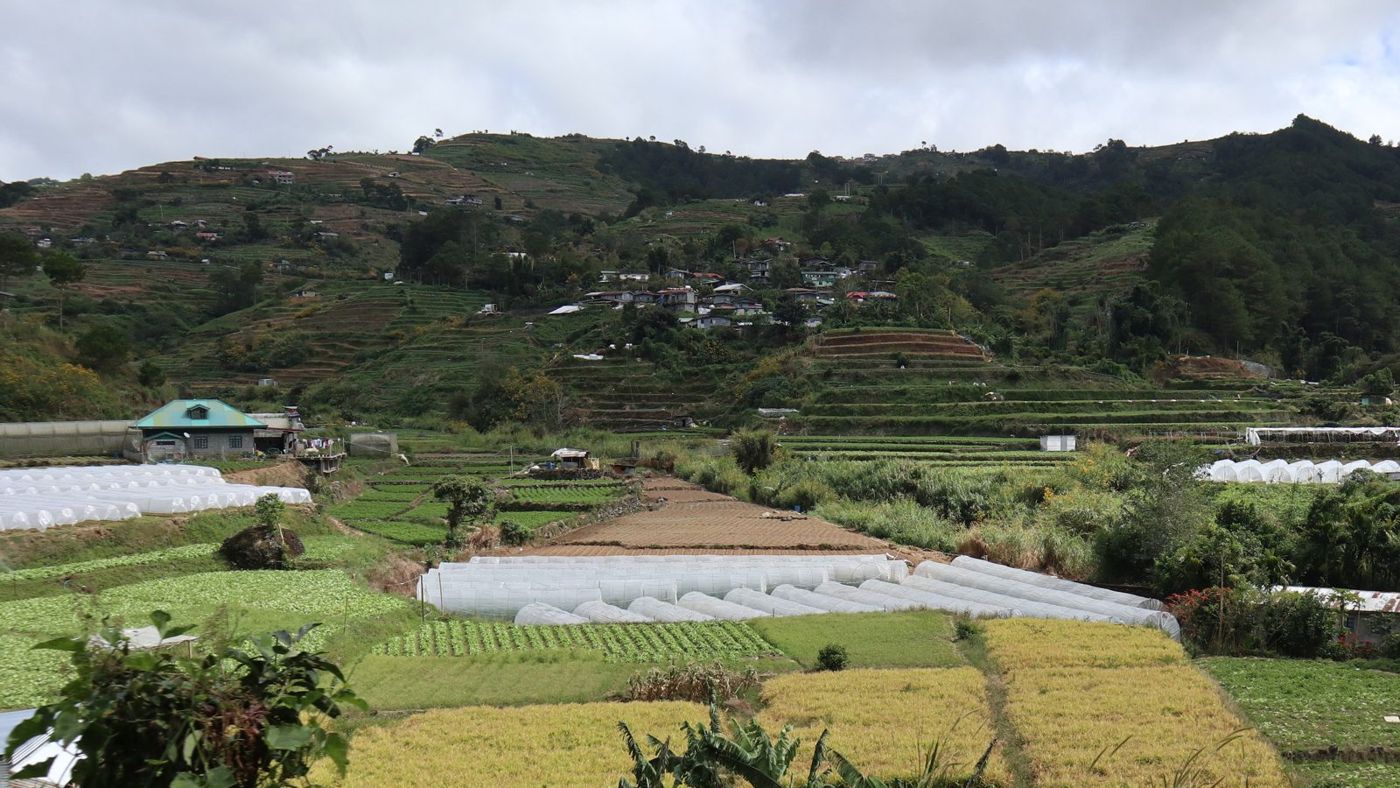 Vegetable terraces in Mankayan, Benguet