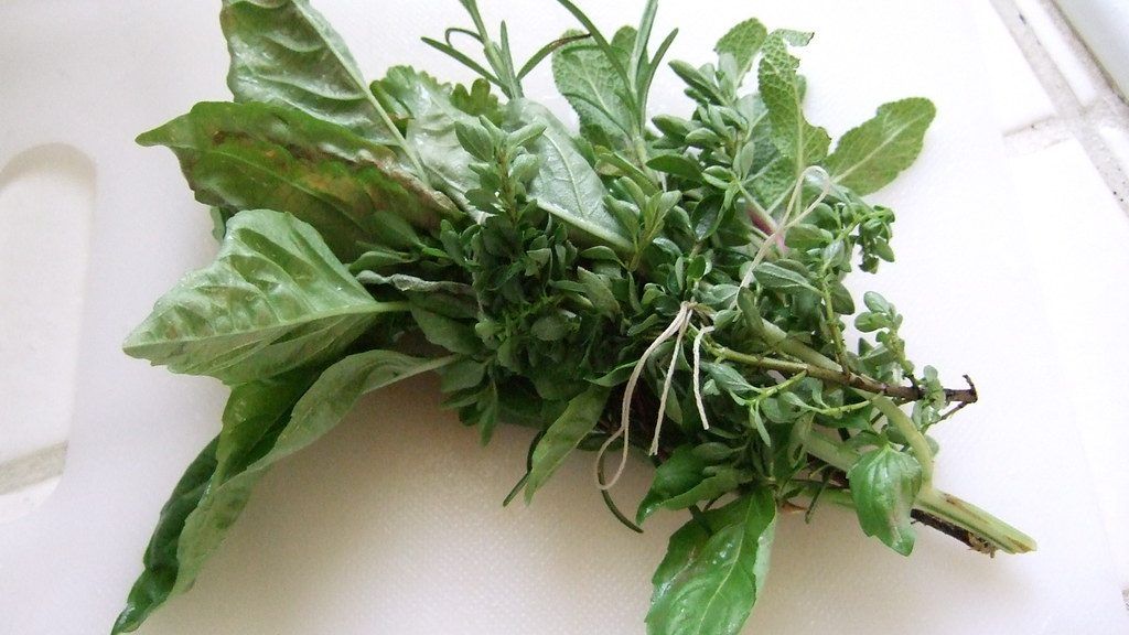 Bundle of fresh basil, rosemary and other herbs