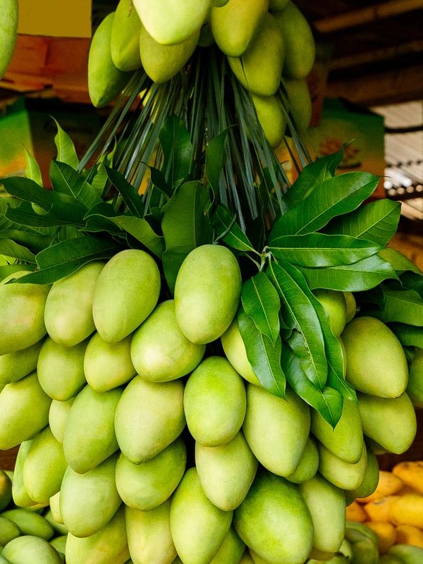 Fresh vegetables and salad greens for delivery in Metro Manila